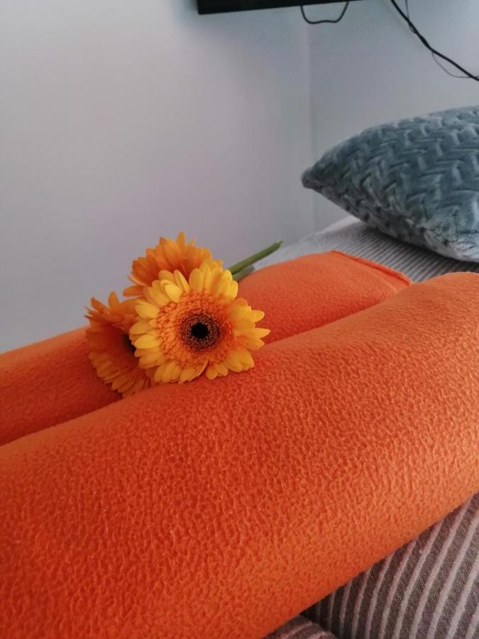 טרוגיר Apartman Radic מראה חיצוני תמונה