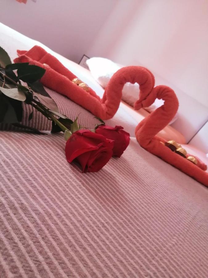 טרוגיר Apartman Radic מראה חיצוני תמונה
