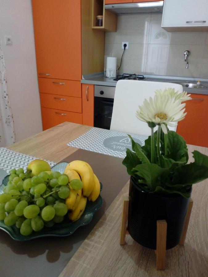 טרוגיר Apartman Radic מראה חיצוני תמונה