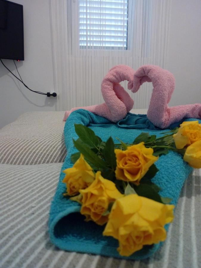 טרוגיר Apartman Radic מראה חיצוני תמונה