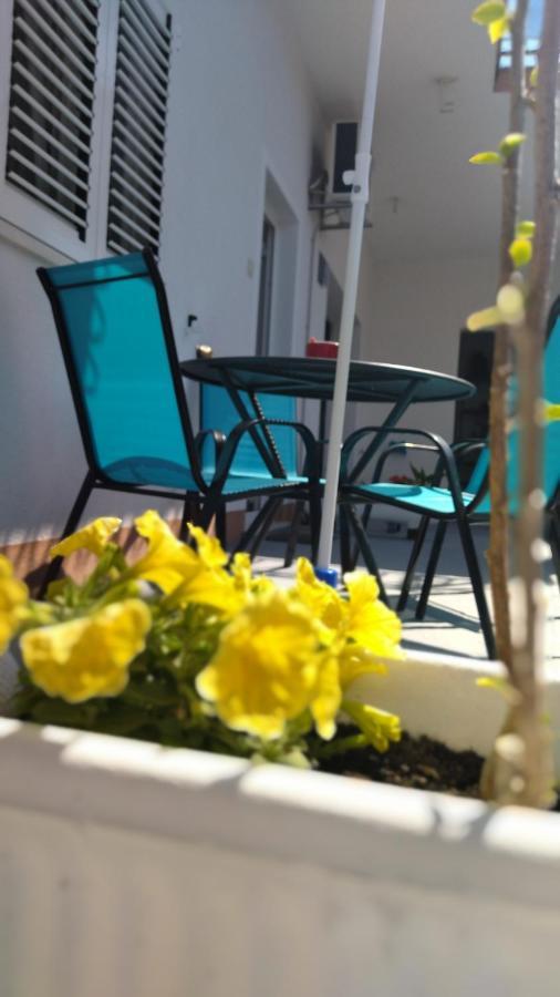 טרוגיר Apartman Radic מראה חיצוני תמונה
