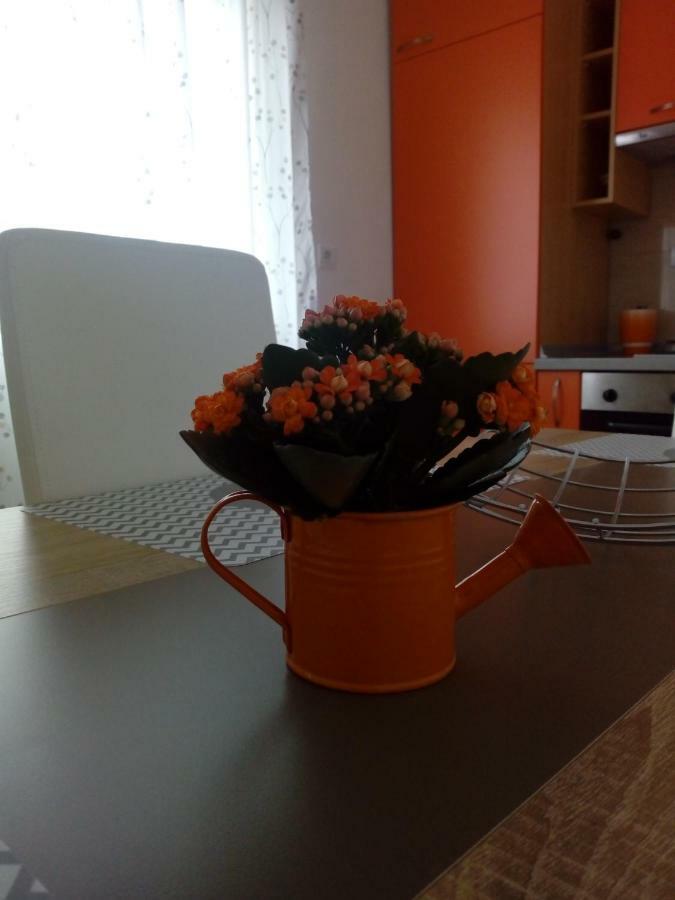 טרוגיר Apartman Radic חדר תמונה